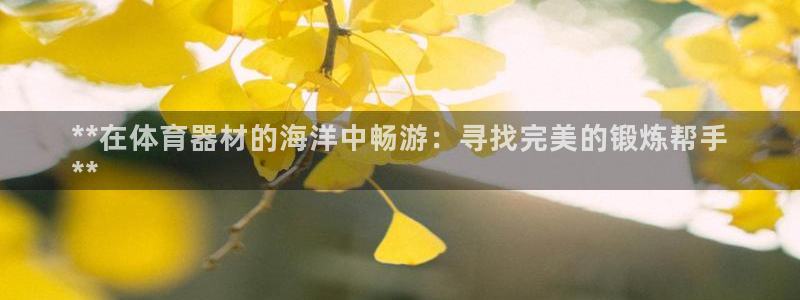 富联地产怎么样可靠吗：**在体育器材的海洋中畅游：寻