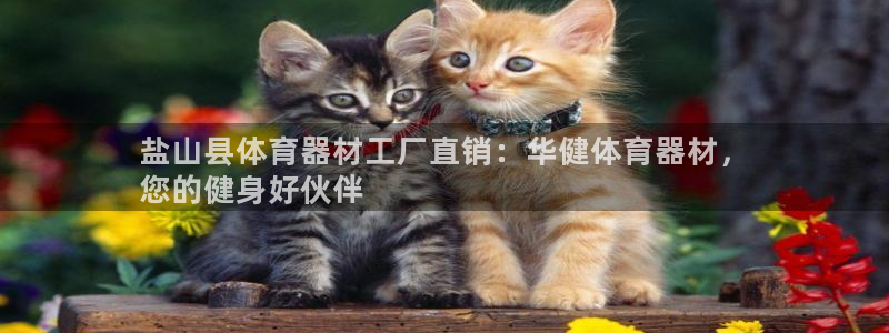 富联娱乐按7O777：盐山县体育器材工厂直销：华健体