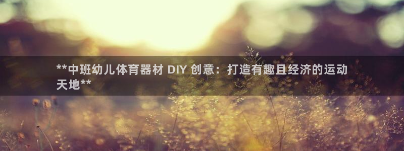 富联大厦：**中班幼儿体育器材 DIY 创意：打造有
