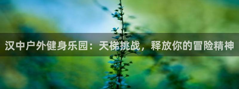 富联工坊：汉中户外健身乐园：天梯挑战，释放你的冒险精神