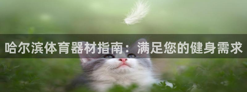 富联平台巴7O777：哈尔滨体育器材指南：满足您的健