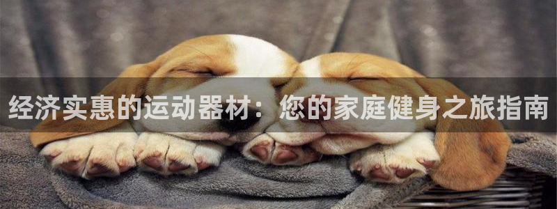 富联官网登录：经济实惠的运动器材：您的家庭健身之旅指