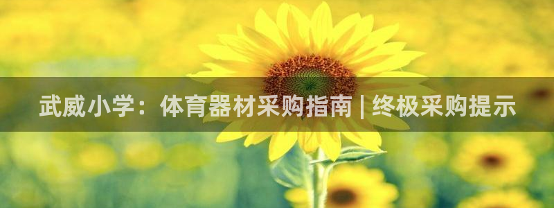 富联娱乐集7O777：武威小学：体育器材采购指南 |