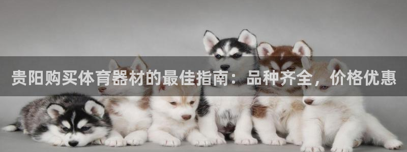 富联娱乐负责人名单：贵阳购买体育器材的最佳指南：品种齐全，价
