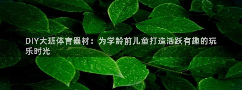 富联平台招 37oo735：DIY大班体育器材：为学