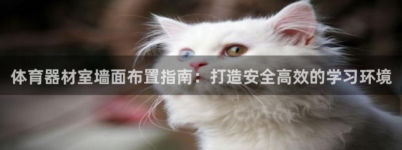 富联娱乐价7O777：体育器材室墙面布置指南：打造安