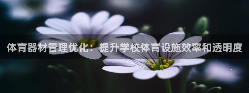 富联官网丁6.7.5.1.3.8：体育器材管理优化：