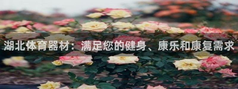 富联官方网站入口查询：湖北体育器材：满足您的健身、康