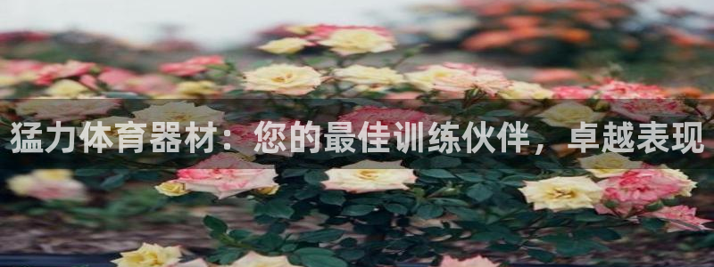 富联娱乐口 5O6917 娱乐：猛力体育器材：您的最