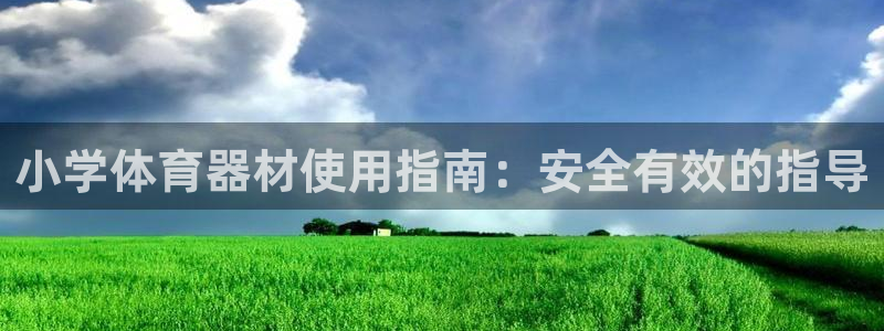 富联平台节7O777：小学体育器材使用指南：安全有效