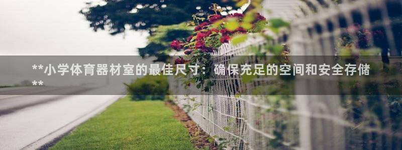富联公寓租房怎么样：**小学体育器材室的最佳尺寸：确