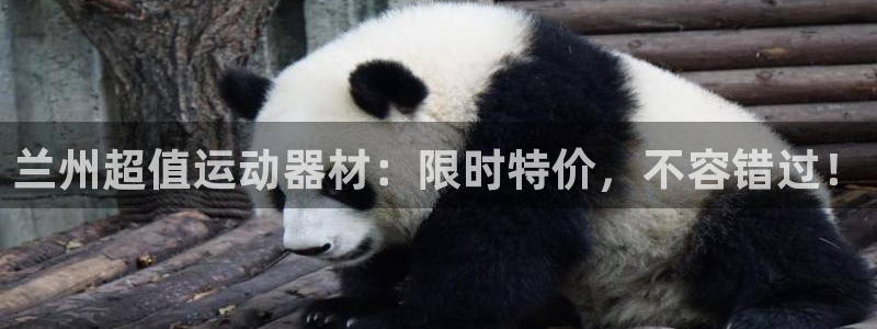 富联股份：兰州超值运动器材：限时特价，不容错过！