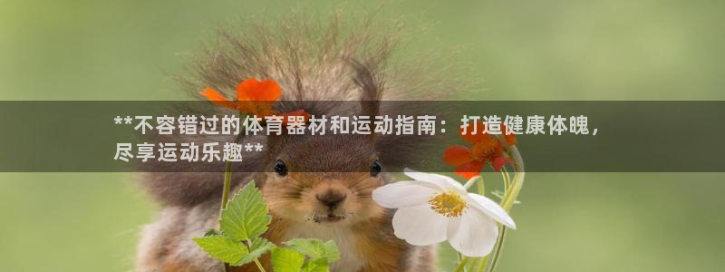 富联平台官网登录入口：**不容错过的体育器材和运动指