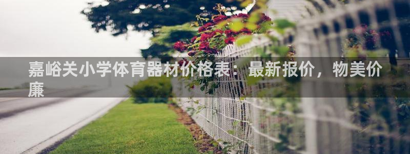 富联娱乐官方网站入口下载：嘉峪关小学体育器材价格表：