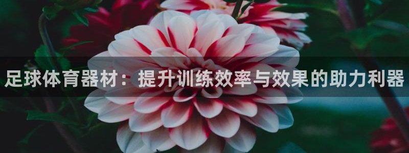 富联官方网站下载app