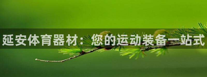 富联娱乐测速登录：延安体育器材：您的运动装备一站式