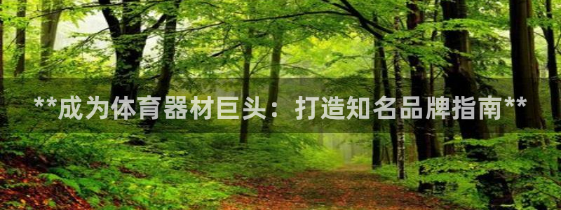 富联娱乐平台怎么样：**成为体育器材巨头：打造知名品牌指南*