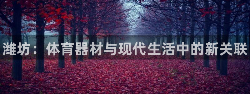 富联官方网站首页登录入口：潍坊：体育器材与现代生活中的新关联