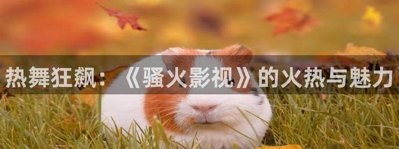 天龙影院官网