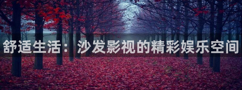 天龙影院远古高清