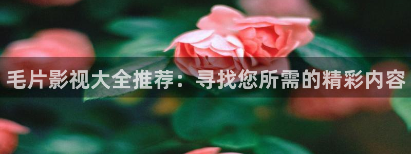 天龙电影院官网：毛片影视大全推荐：寻找您所需的精彩内容