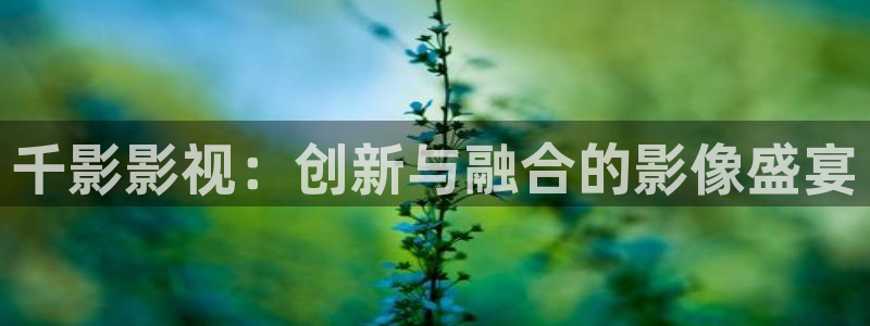 天龙影院电视剧在线观看：千影影视：创新与融合的影像盛宴
