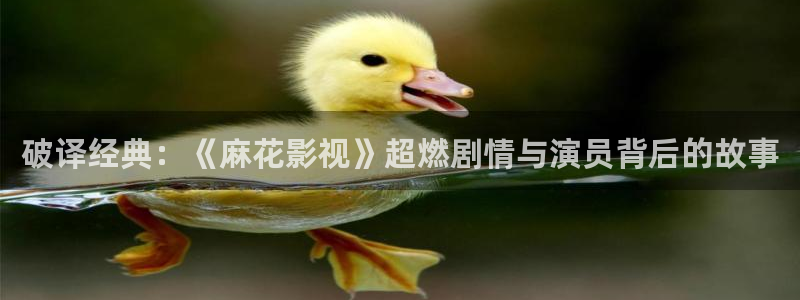 天龙 家庭影院：破译经典：《麻花影视》超燃剧情与演员背后的故事