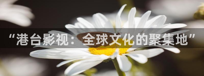 天龙高清影院在线观看影片